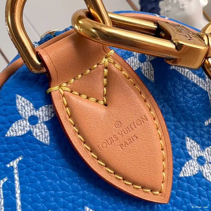 Brother sam 2401YA0022 LV Bags 0717